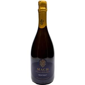 Istituto Agrario San Michele Trento DOC Mach Riserva del...