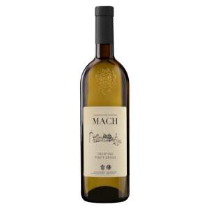 Istituto Agrario San Michele Trentino Pinot Grigio DOC