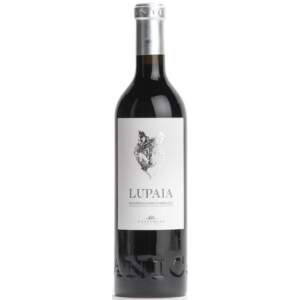 Castorani Montepulciano dAbruzzo DOC Lupaia